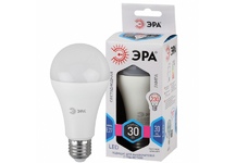 Груша A СТАНДАРТ ЭРА