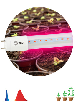 FITO Лампа красно-синего спектра FITO-18W-RB-Т8-G13-NL ЭРА