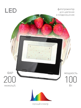 FITO Прожектор для цветения и плодоношения FITO-100W-Ra90-LED ЭРА