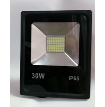 LE FL SMD LED3 30W CW IP65 холодный белый Светодиодный светильник Leek