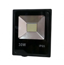 LE FL SMD LED5 30W CW IP65 холодный белый Светодиодный светильник Leek