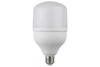 Лампа светодиодная ЭРА LED smd POWER 65-4000-E27/E40